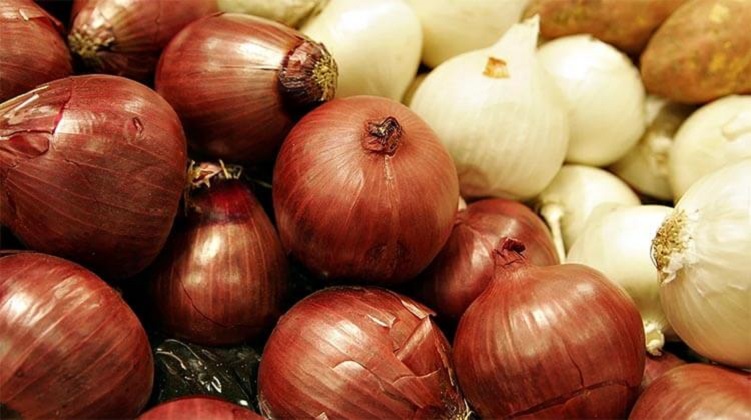weight loss with Onions