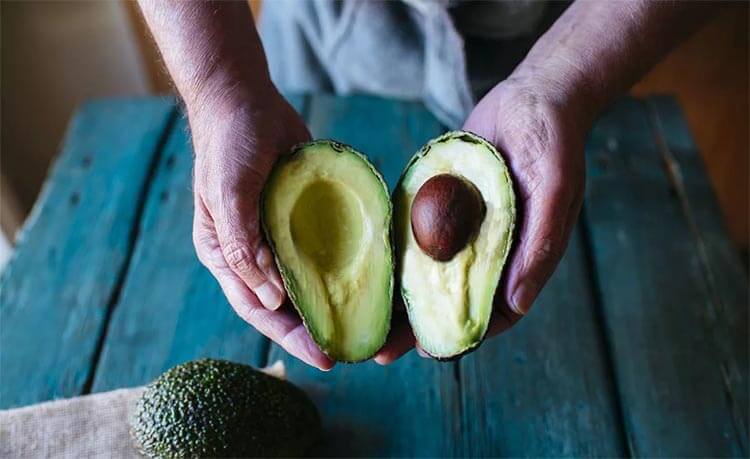 avocado healthy metabolism