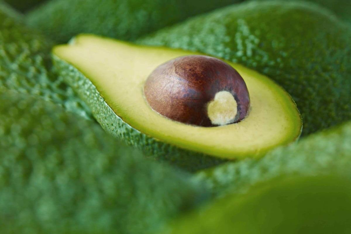 avocado's nutritional profile