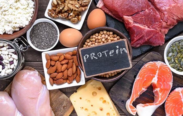 Protein-Rich Foods